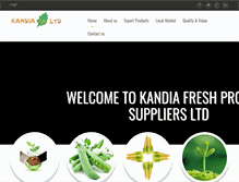 Tablet Screenshot of kandiagroup.com